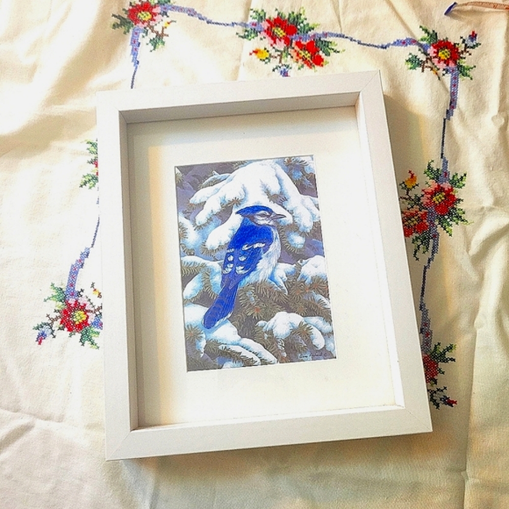 Framed Artist Bluejay Print